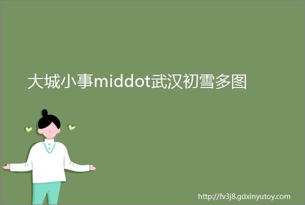 大城小事middot武汉初雪多图